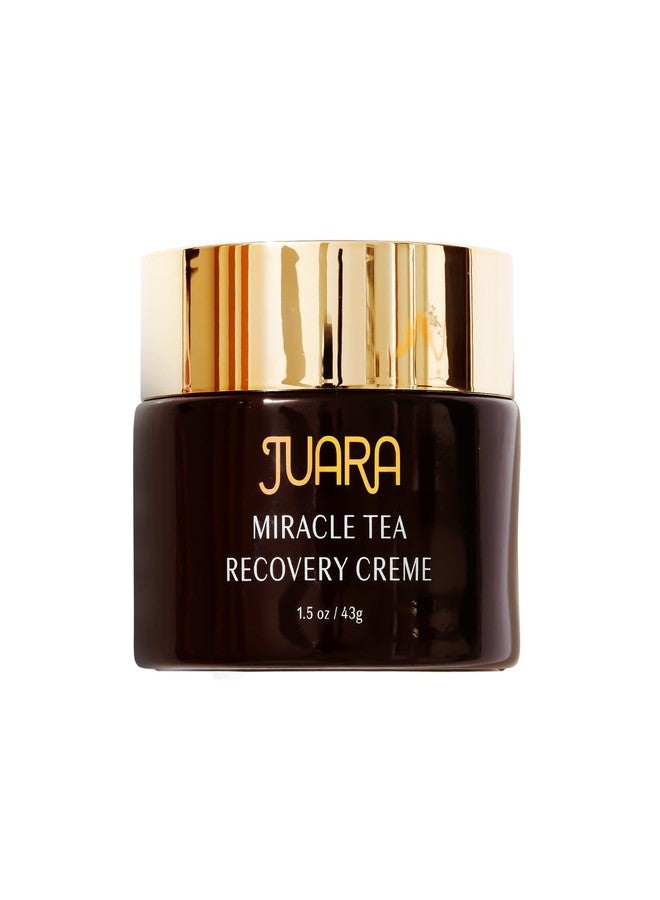 Juara Miracle Tea Recovery Creme - Anti Aging Face Moisturizer with Bio-Retinol - Sensitive Skin Face Cream for Wrinkles & Fine Lines - Firming Day & Night Cream with Fermented Black Tea - 1.5 oz - Image 1