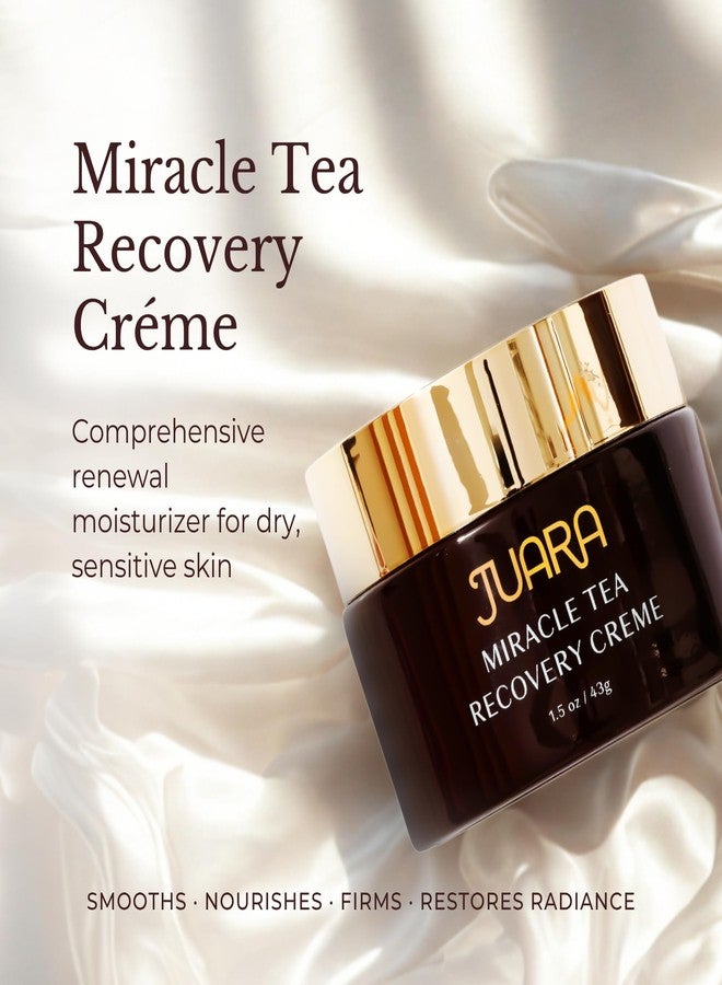 Juara Miracle Tea Recovery Creme - Anti Aging Face Moisturizer with Bio-Retinol - Sensitive Skin Face Cream for Wrinkles & Fine Lines - Firming Day & Night Cream with Fermented Black Tea - 1.5 oz - Image 3