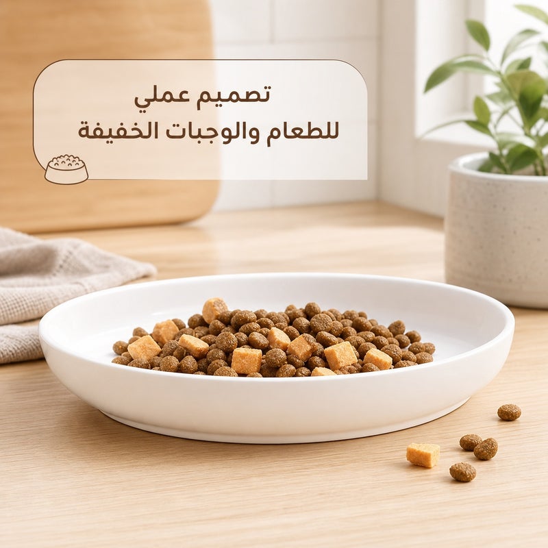 وعاء حيوانات أليفة بخامة سيراميك وبنقشة عظم السمك وطقم 3 قطع كإكسسوار إطعام للحيوانات الأليفة للإطعام اليومي للاستخدام المنزلي للطعام اليومي للقطط لطعام الحيوانات الأليفة - Image 5