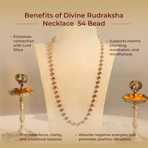 Divine Hindu Silver Plated Rudraksha Necklace for Men & Women | Natural Rudraksha Beads Chain Mala | Spiritual Meditation & Prayer Beads | Positive Energy Prayer Mala | Religious Gift - Image 3