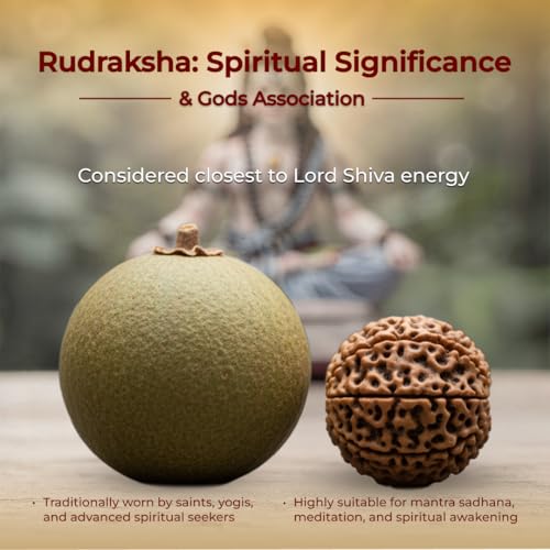 Divine Hindu Silver Plated Rudraksha Necklace for Men & Women | Natural Rudraksha Beads Chain Mala | Spiritual Meditation & Prayer Beads | Positive Energy Prayer Mala | Religious Gift - Image 5