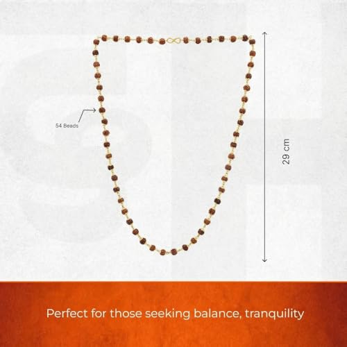 Divine Hindu Silver Plated Rudraksha Necklace for Men & Women | Natural Rudraksha Beads Chain Mala | Spiritual Meditation & Prayer Beads | Positive Energy Prayer Mala | Religious Gift - Image 2