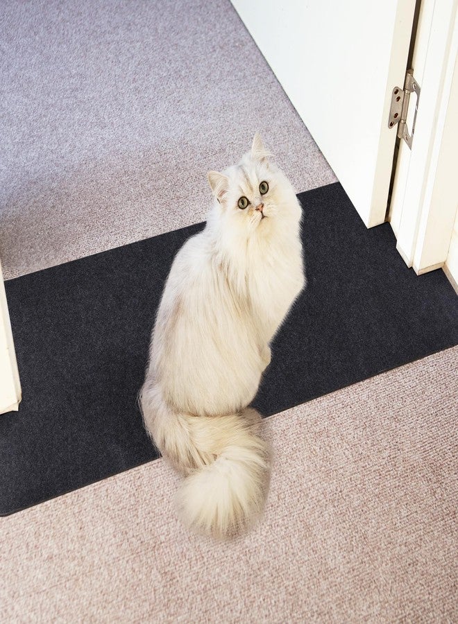 Oroonoko Carpet Protector for Pets Cat Carpet Protector for Doorway, Anti Scratch Under Door Cat Scratch Protector Mat, Easy to Cut Plastic Stopper (Grey, 3.6FT-Felt 1 Pack) - Image 1
