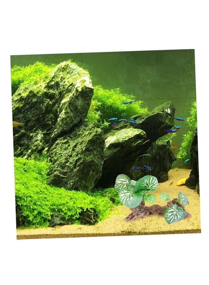 زينة نباتات شجرية لأحواض السمك، زينة نباتات صغيرة لأحواض الأسماك، زينة أحواض السمك، عشب مائي واقعي مُحاكي لمواد أحواض الأسماك - Image 2