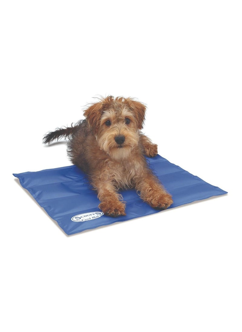 Summer Bite-proof Pet Solid Ice Pad