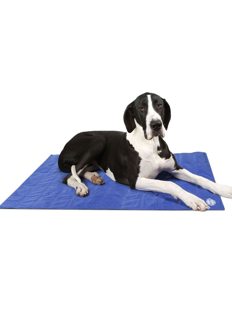 Summer Bite-proof Pet Solid Ice Pad