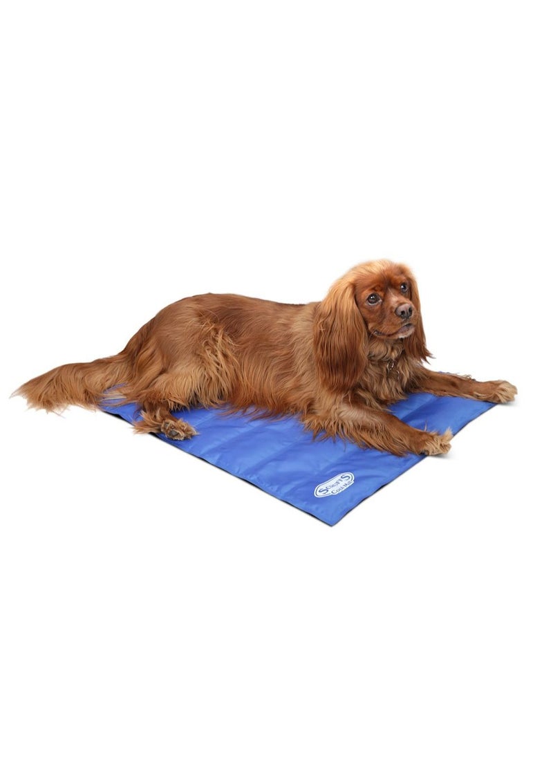 Summer Bite-proof Pet Solid Ice Pad