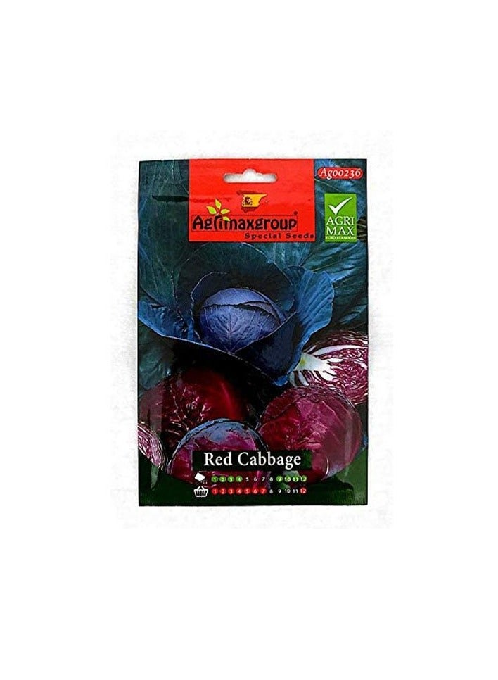 KNP Red Cabbage - Seeds