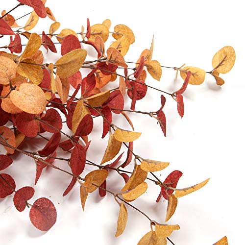 VGIA 6 Pcs Artificial Eucalyptus Stems Fall Decorations with Fall Eucalyptus Leaves Autumn Decorations for Office and Home Artificial Plants for Floral Arrangement - Image 3