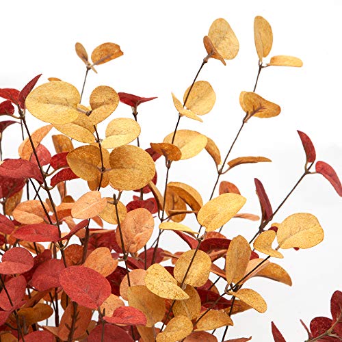 VGIA 6 Pcs Artificial Eucalyptus Stems Fall Decorations with Fall Eucalyptus Leaves Autumn Decorations for Office and Home Artificial Plants for Floral Arrangement - Image 4