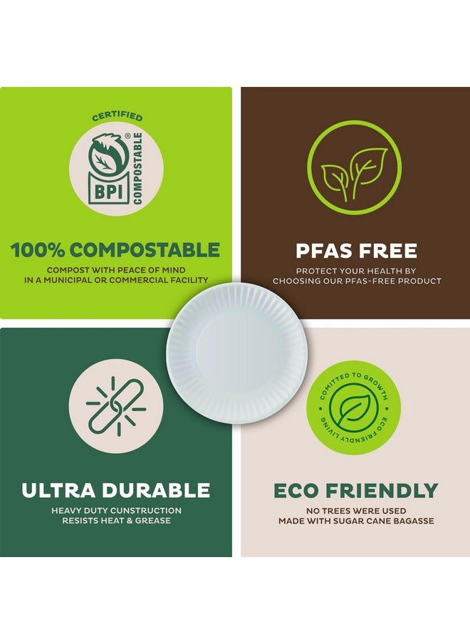 Perfect Stix Perfect Stix Paper Plate by Kitchen Essentials, 9" (Pack of 300)  - Image 5