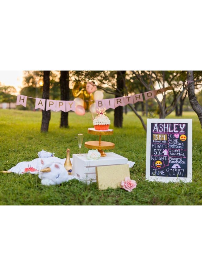 iiCheerful Happy Birthday Banner Pink Birthday Signs Party Supplies Garland Decorations Nursery Hanging Decor (Soft Pink) - Image 3