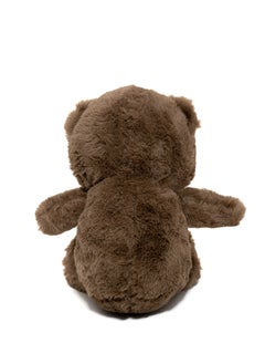Toto Toys Plush Bear With Big Ty Eyes White And Brown Color Size 23 cm  - Image 3