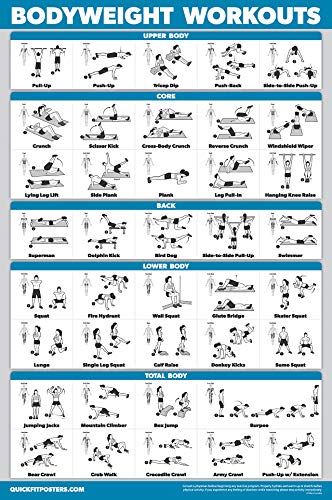 Palace Learning Bodyweight Workout Exercise Poster  Body Weight Workout Chart  Calisthenics Routine  Laminated 18 x 24