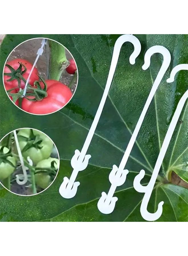 20 Assorted Plant Fruit Hooks White Large 10pcs Small 10pcs Tomato Eggplant Greenhouse Accessories Prevent Fruit Skewing Falling Off - Image 1