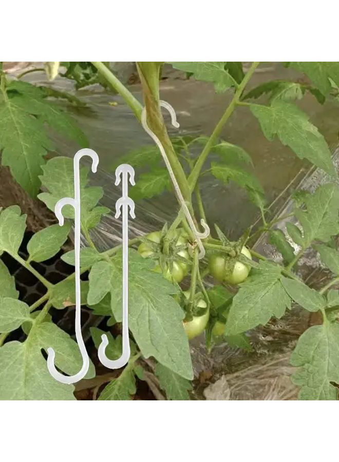 20 Assorted Plant Fruit Hooks White Large 10pcs Small 10pcs Tomato Eggplant Greenhouse Accessories Prevent Fruit Skewing Falling Off - Image 3