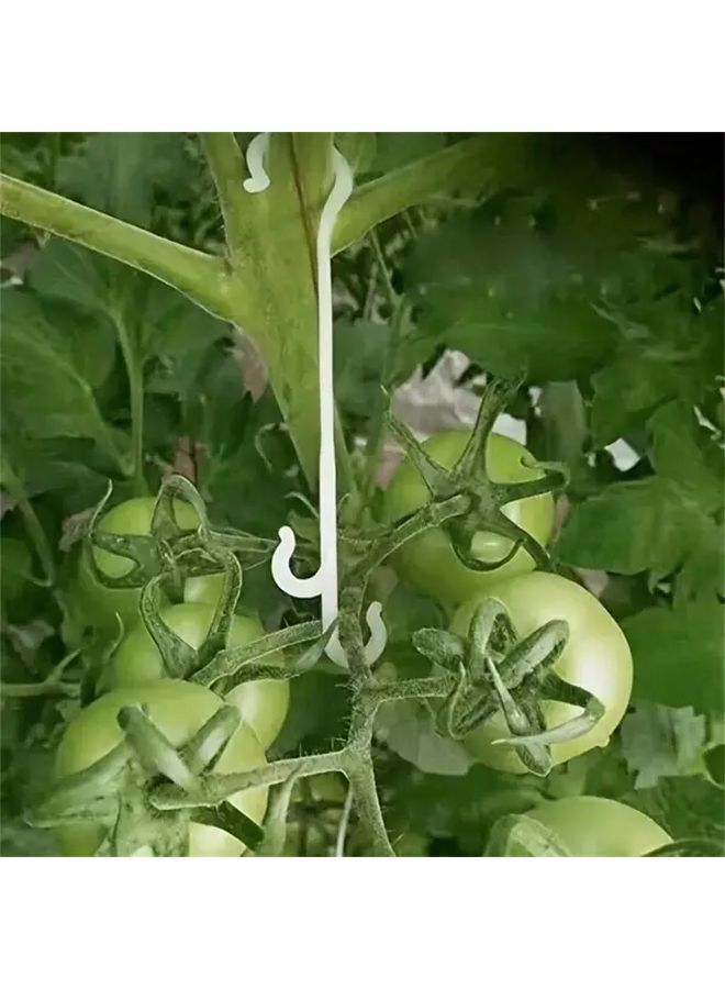 20 Assorted Plant Fruit Hooks White Large 10pcs Small 10pcs Tomato Eggplant Greenhouse Accessories Prevent Fruit Skewing Falling Off - Image 4