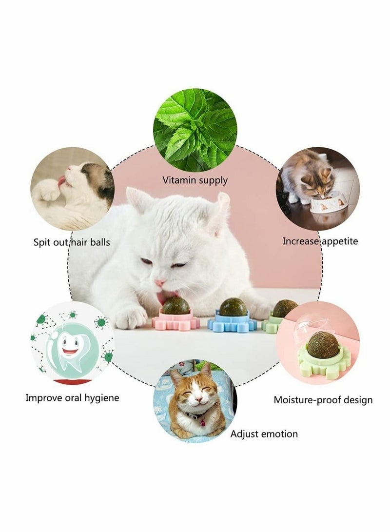 3 Piece Catnip Wall Balls Edible Licking Chew Toy Teeth Cleaning Rotatable Indoor Decoration for Cats - Image 3