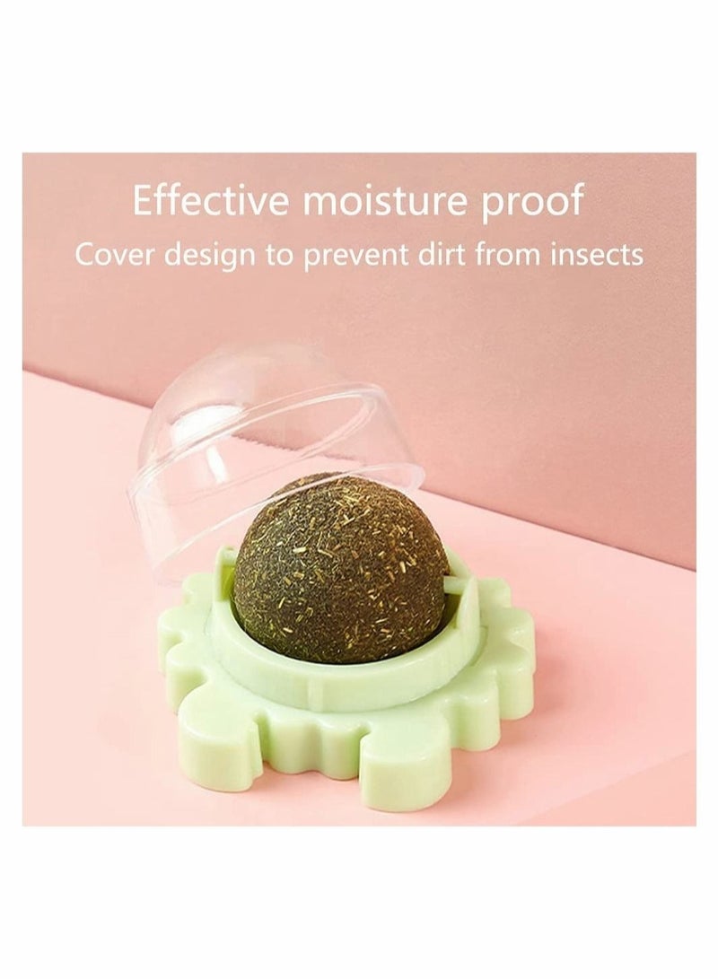 3 Piece Catnip Wall Balls Edible Licking Chew Toy Teeth Cleaning Rotatable Indoor Decoration for Cats - Image 5