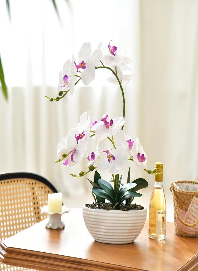 GreenHouzz نبات الأوركيد الصناعي من نوع فالاينوبسيس من جرين هوز، ارتفاع 19 بوصة، قطعة مركزية من زهور الأوركيد الحريرية في وعاء سيراميك (أبيض) - Image 3