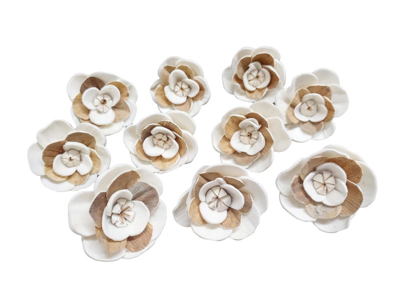 PRANSUNITA Sola Wood Diffuser Aromatherapy Flowers (No Bark) - Artificial Handmade for Decoration, Flower Bouquets, Centerpieces, DIY Home Decor and Craft Supplies – 6 cm Dia – Pack of 10 pcs - Image 1