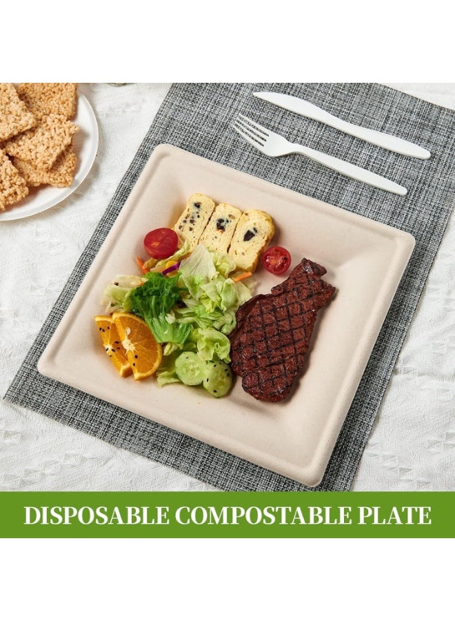 125 Pack Compostable Square Plates, 6 inch Disposable Paper Plates, Eco-friendly Heavy Duty Biodegradable Sugarcane Plates - Image 4