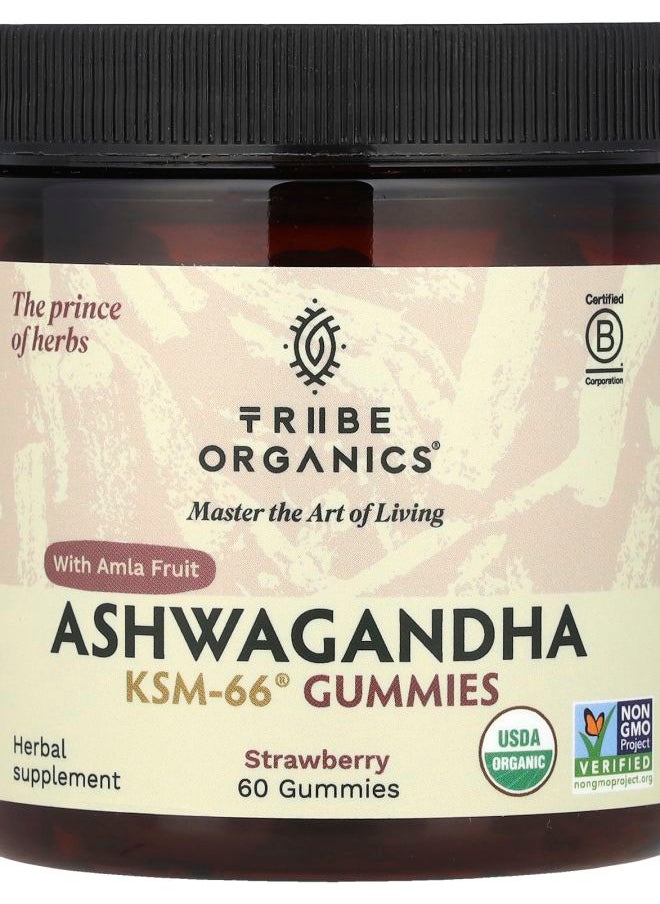 TRIBE ORGANICS Ashwagandha KSM-66® with Amla Fruit Strawberry 60 Gummies  - Image 1