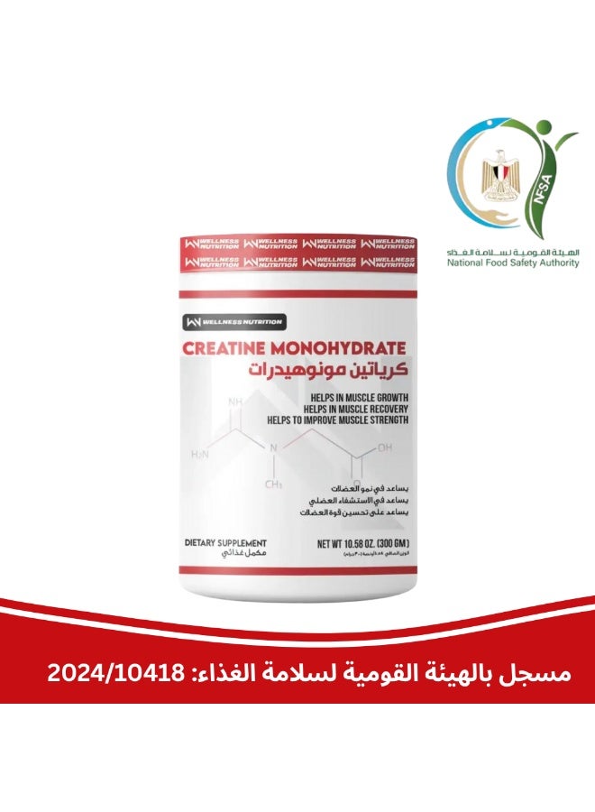 ويلنس نيوتريشن كيرياتين ويلنيس نيوتريشن مونوهيدرات 300 جرام - Image 4