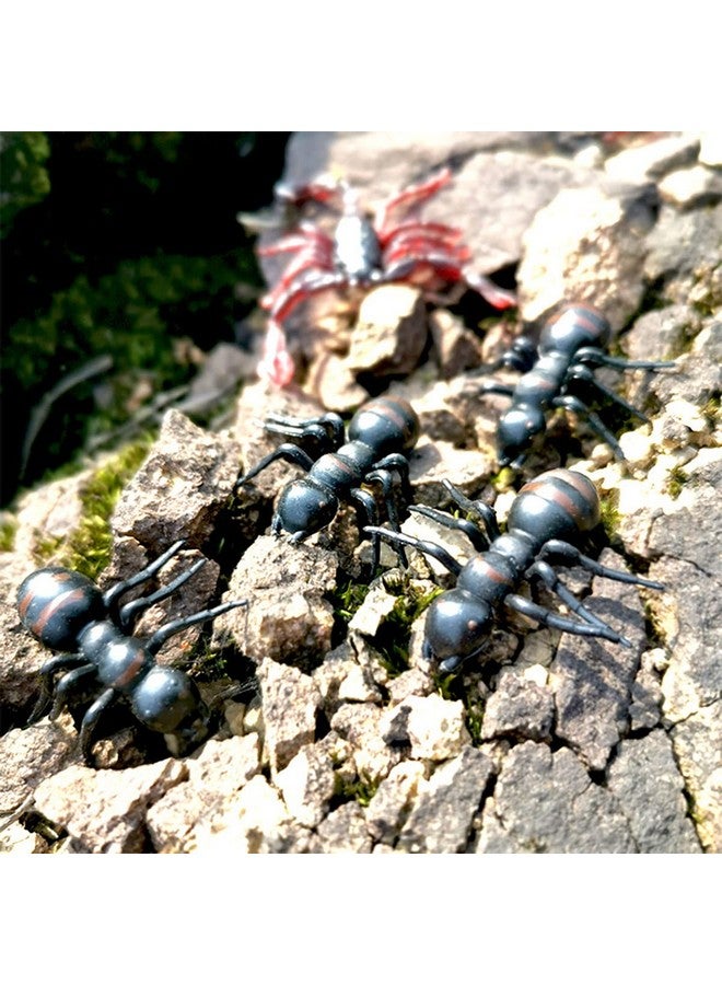 Cooplay 30Pcs Fake Ant Giantants Queen Black Plastic Mock Reptile Insects Joke Toys Prank Scary Trick Tricky Brains For Halloween Party - Image 4