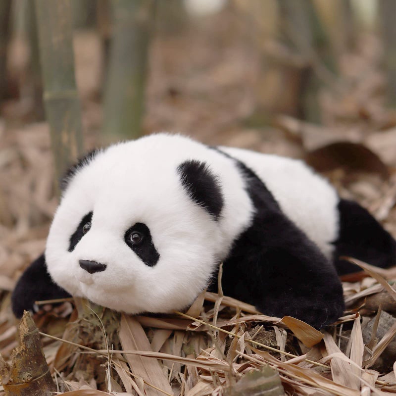 Chongker Weighted Panda Stuffed Animals Panda Plush for Companion MengLan Handmade Realistic Giant Panda Plush 4 LBS 18 Lifelike Animals - Image 2