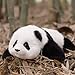 Chongker Weighted Panda Stuffed Animals Panda Plush for Companion MengLan Handmade Realistic Giant Panda Plush 4 LBS 18 Lifelike Animals - Image 4