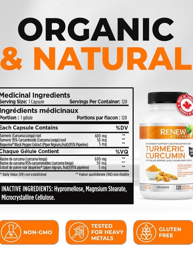 Renew Actives Turmeric Curcumin with Black Pepper – 600MG Turmeric Root, 100MG Curcuminoids per 2 Capsules – Supports Digestion, Liver Health, Joint Relief & Mobility – Made in Canada – 120 Capsules - Image 4