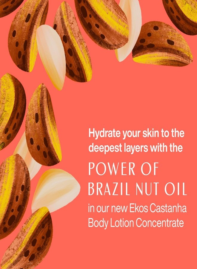 natura Ekos Castanha Body Lotion Concentrate Kit - Anti-Dryness - Deep Skin Hydration Moisturizer - Vegan Skin Care - Self Care & Body Care - Image 2