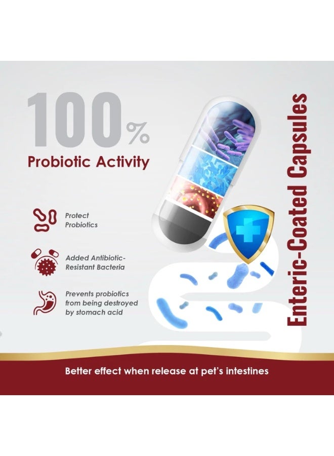 بريداتور مكمل Predator Raw Life Biozyme بروبيوتيك وإنزيمات هضم للحيوانات الأليفة 30 كبسولة للكلاب والقطط - Image 5
