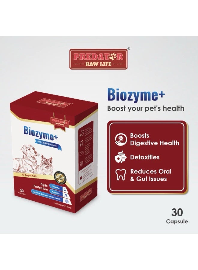 بريداتور مكمل Predator Raw Life Biozyme بروبيوتيك وإنزيمات هضم للحيوانات الأليفة 30 كبسولة للكلاب والقطط - Image 1