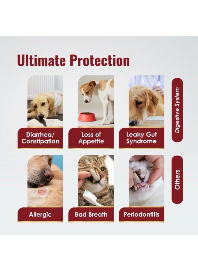بريداتور مكمل Predator Raw Life Biozyme بروبيوتيك وإنزيمات هضم للحيوانات الأليفة 30 كبسولة للكلاب والقطط - Image 2