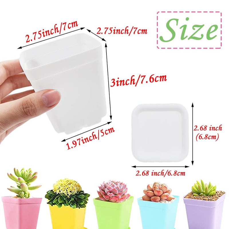 Haawooky 48 PCS 3 Inch Colorful Plastic Plant Pot,Plastic Square Nursery Pots,Seedling Nursery Pots with Saucers for Garden,Home,Office,Balcony Decor,Garden Gifts - Image 2