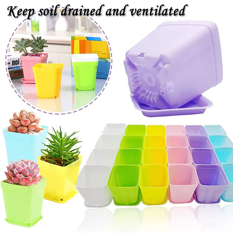 Haawooky 48 PCS 3 Inch Colorful Plastic Plant Pot,Plastic Square Nursery Pots,Seedling Nursery Pots with Saucers for Garden,Home,Office,Balcony Decor,Garden Gifts - Image 5