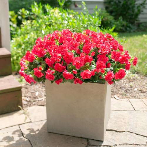 HyeFlora Artificial Faux Outdoor Flowers Plants for Spring Summer Decoration, Fake Silk Hotpink Camellia UV Resistant Look Real for Planter Outside Front Door Porch Patio Balcony, 3 Large Bundles - Image 3