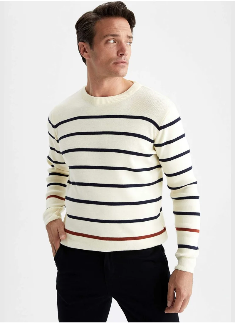 DeFacto Man Crew Neck Tricot Pullover