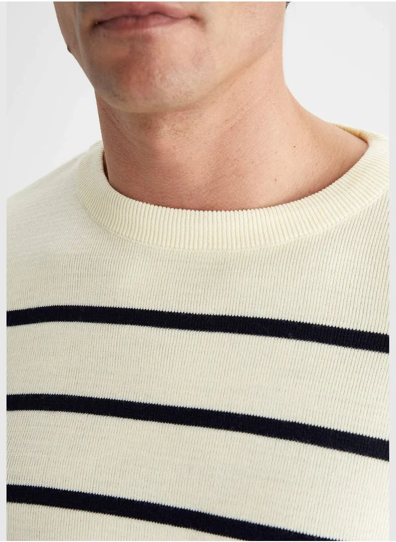 DeFacto Man Crew Neck Tricot Pullover