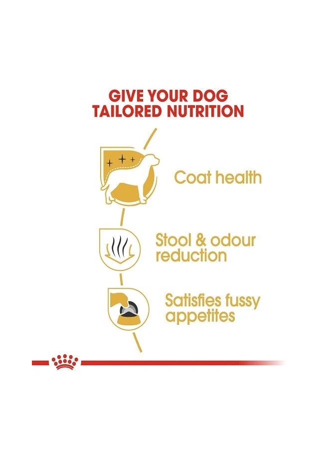 رويال كانين طعام جاف للكلاب من رويال كانين، مالتيز للبالغين (10+ أشهر)، 1.5 كجم - Image 5