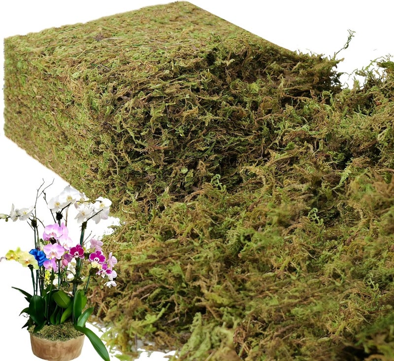 BYHER 35 أونصة طحلب اصطناعي سعة كبيرة للنباتات الداخلية، طحلب أخضر طازج للنباتات المزروعة في الأصص، طحلب للحرف اليدوية لتزيين المنزل والمكتب، ديكور حدائق الجنيات (أخضر طازج - 992 جرام) - Image 1