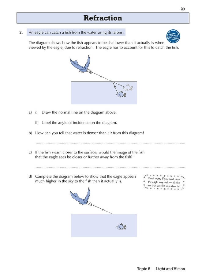 null - KS3 Science Year 8 Targeted Workbook (with answers) - Image 1