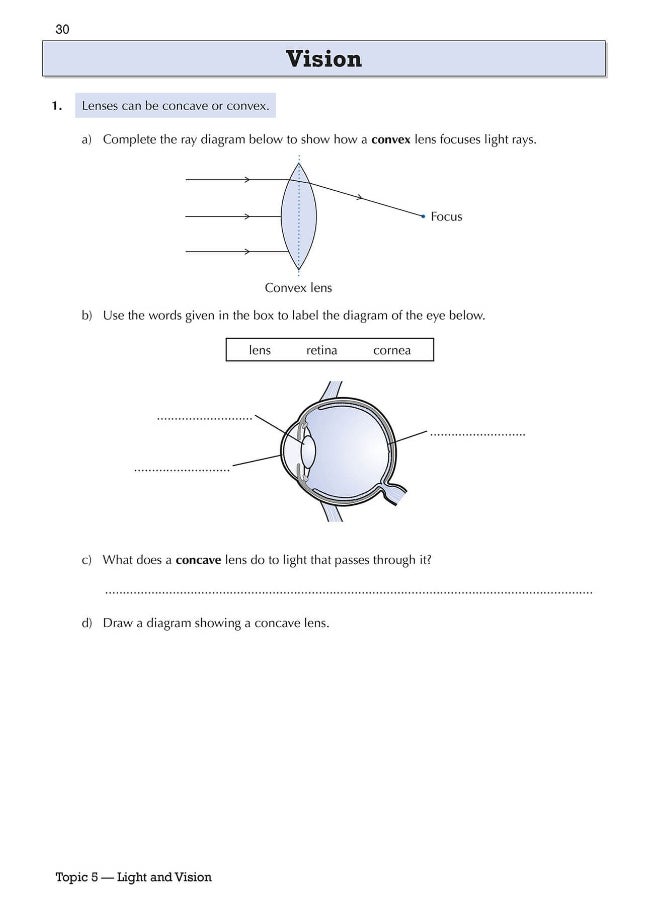 null - KS3 Science Year 8 Targeted Workbook (with answers) - Image 1