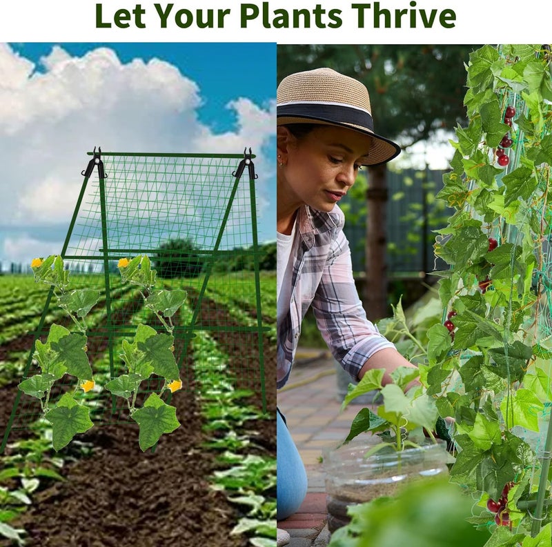 JK-GMTE A-Frame Metal Garden Trellis Set for Raised Bed for Climbing Plants Outdoor-Detachable Cucumber Climbing Trellis with Net Clips-Garden for Cucumber Flowers Vegetables - Image 5