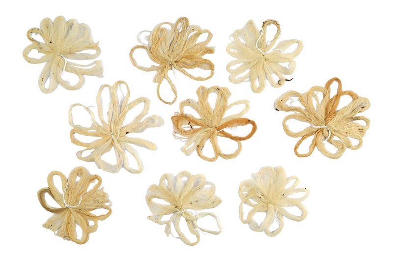Rudra Centre Rudra Centre Lotus Stem Wicks Set of 9 