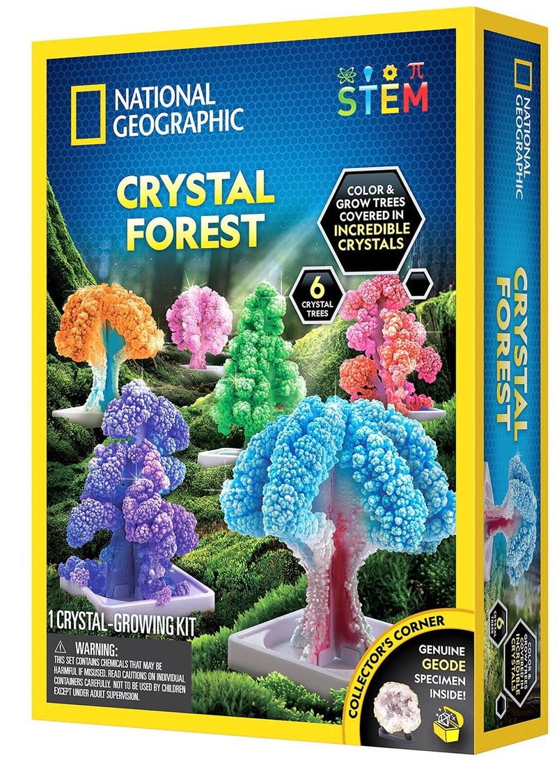 NATIONAL GEOGRAPHIC Blue Marble National Geographic Crystal Forest! - Image 2