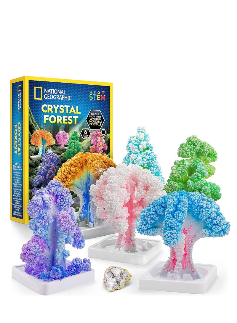 NATIONAL GEOGRAPHIC Blue Marble National Geographic Crystal Forest! - Image 5