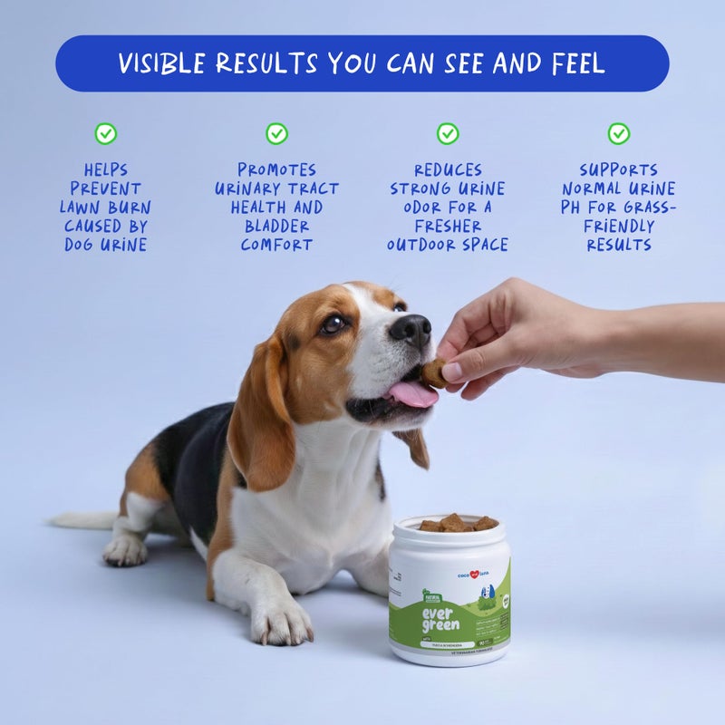 Coco and Luna Grass Burn Spot Soft Chews - Pee Grass Spot Saver Caused by Dog Urine - Dog Urine Neutralizer for Lawn, with Canine Enzyme Blend, Probiotics, and Cranberry. - Image 3